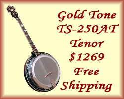 Gold Tone TS-250AT Tenor Banjo