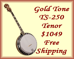 Gold Tone TS-250 Tenor Banjo