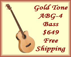 Gold Tone ABG-4 Acoustic Bass