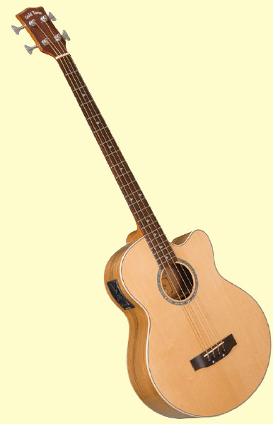 Gold Tone ABG-4 Bass Guitar