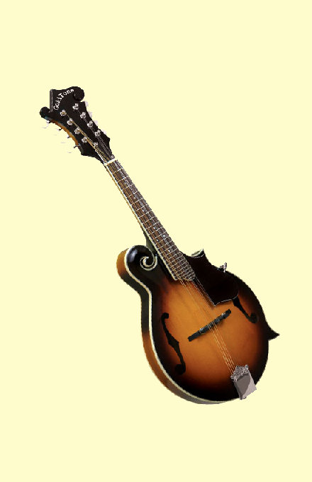 Gold Tone GM-35 Mandolin