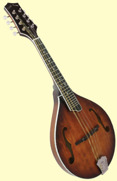 Gold Tone GM-55A Mandolin